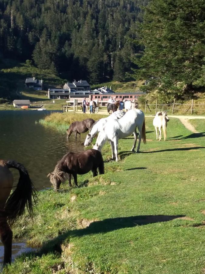 Gite Cosy Lac De Payolle Campan Exterior foto