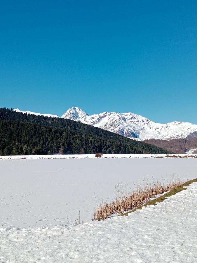 Gite Cosy Lac De Payolle Campan Exterior foto