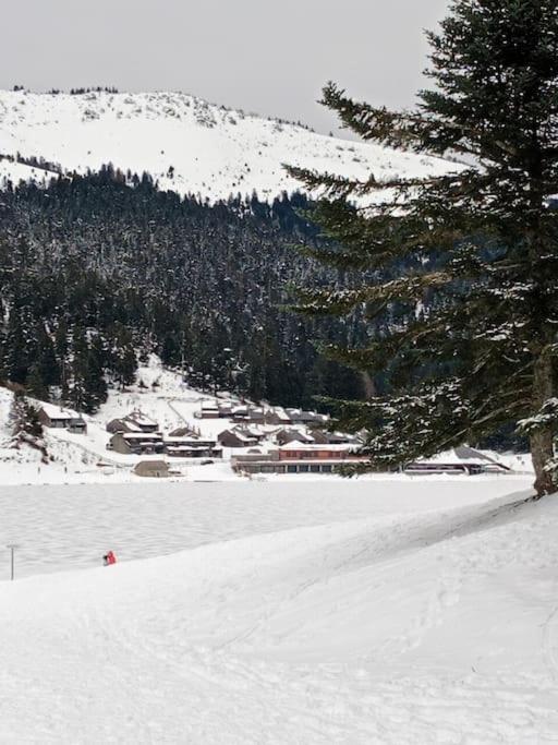 Gite Cosy Lac De Payolle Campan Exterior foto